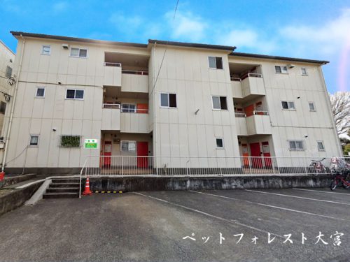ペットフォレスト大宮102